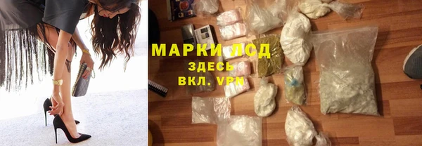 ГАЛЛЮЦИНОГЕННЫЕ ГРИБЫ Тайга