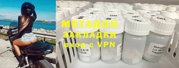 ГАЛЛЮЦИНОГЕННЫЕ ГРИБЫ Тайга