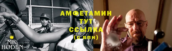 ГАЛЛЮЦИНОГЕННЫЕ ГРИБЫ Тайга