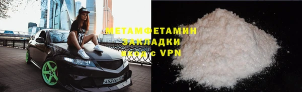 ГАЛЛЮЦИНОГЕННЫЕ ГРИБЫ Тайга