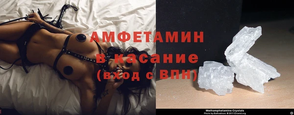 ГАЛЛЮЦИНОГЕННЫЕ ГРИБЫ Тайга