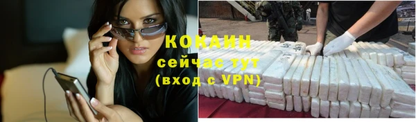 ГАЛЛЮЦИНОГЕННЫЕ ГРИБЫ Тайга
