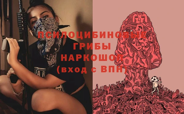 марихуана Тавда