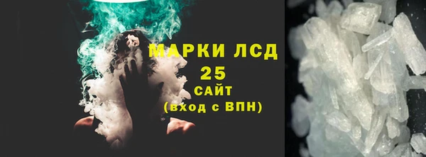 ГАЛЛЮЦИНОГЕННЫЕ ГРИБЫ Тайга