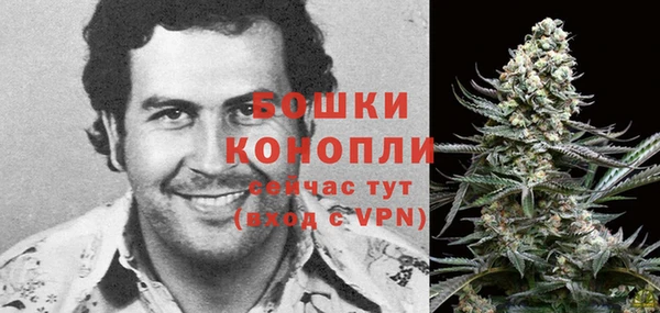 ГАЛЛЮЦИНОГЕННЫЕ ГРИБЫ Тайга