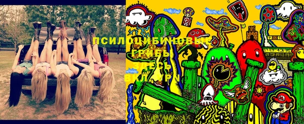 СК Сясьстрой