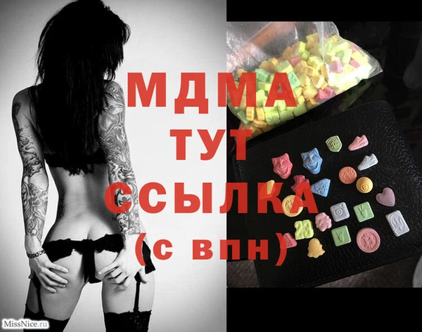 ГАЛЛЮЦИНОГЕННЫЕ ГРИБЫ Тайга