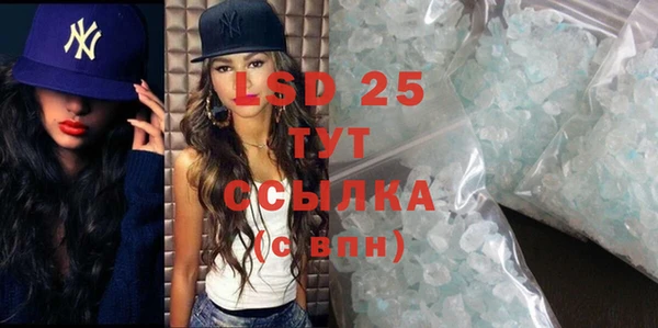 ГАЛЛЮЦИНОГЕННЫЕ ГРИБЫ Тайга