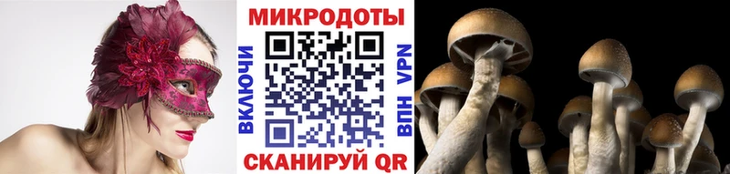 Галлюциногенные грибы мухоморы  купить наркотик  Сухой Лог 