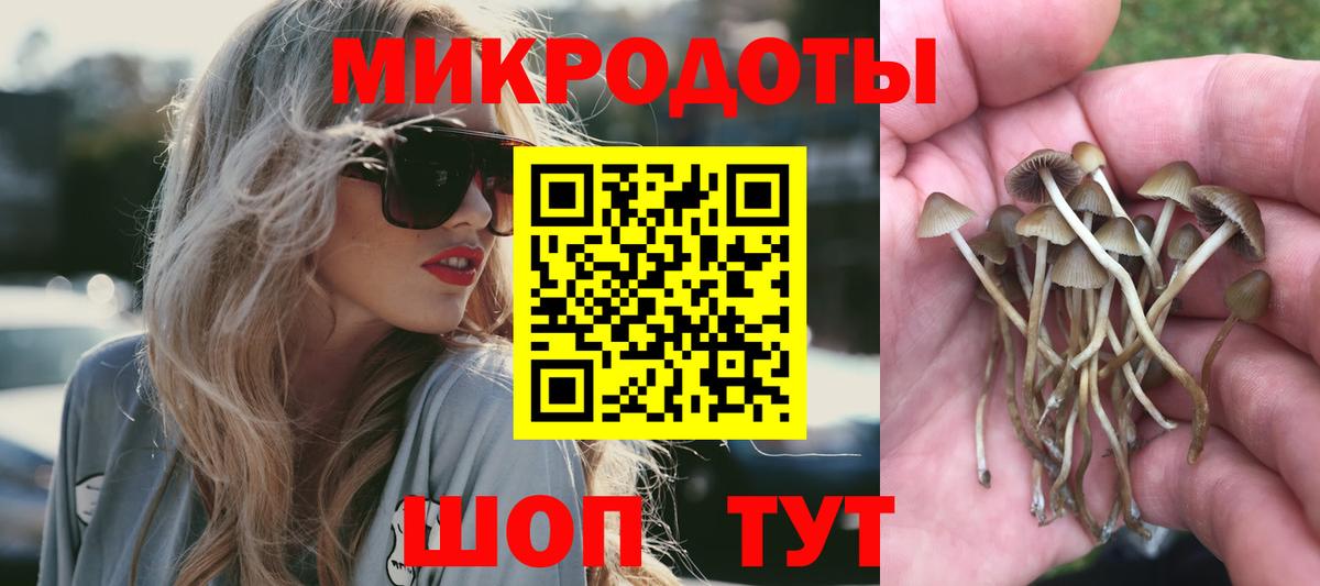 Галлюциногенные грибы ЛСД  Псилоцибиновые грибы прущие грибы  Сухой Лог  Вход с VPN 